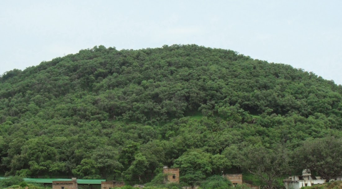1 Night 2 Days Chitrakoot Tour Package from Prayagraj photo 3
